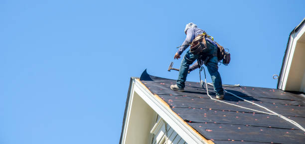 Best New Roof Installation  in Tellico Plains, TN